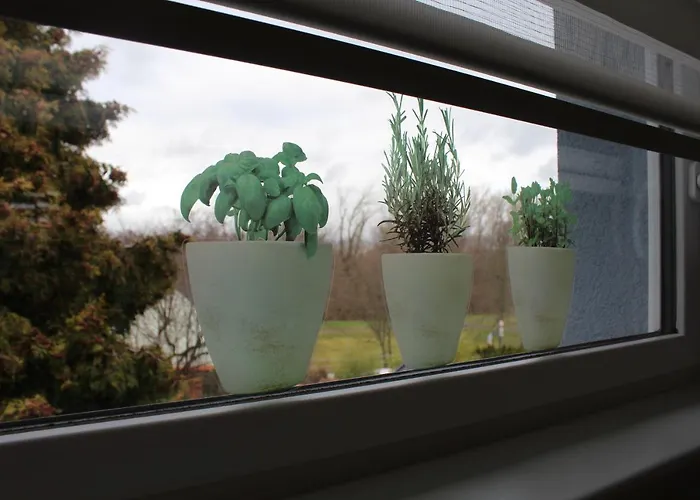 Am Park 埃尔福特