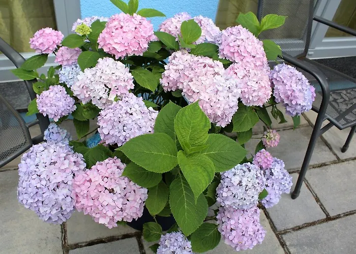 Apartman Am Park Erfurt